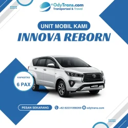 innova reborn